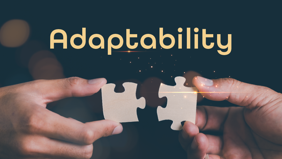Adaptability - IRIS