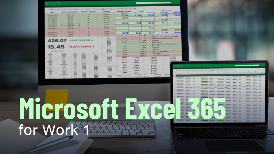 Microsoft Excel 365 for Work 1 - IRIS