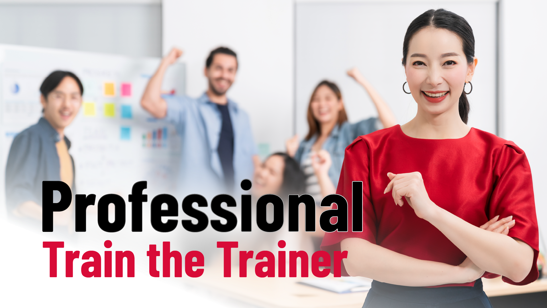 Professional Train the Trainer - IRIS