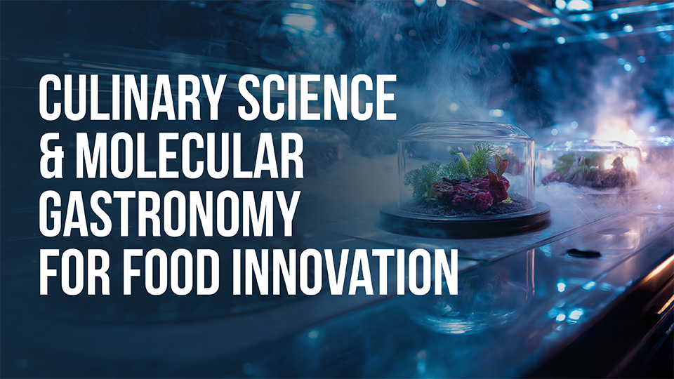 Culinary Science & Molecular Gastronomy for Food Innovation - IRIS